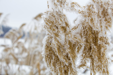 Similar image 18138113