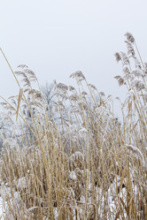 Similar image 18138118