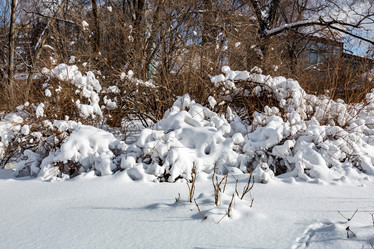 Similar image 18512539