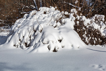 Similar image 18512689