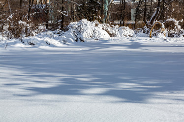 Similar image 18512705