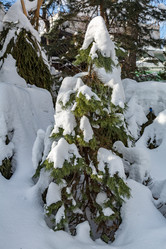 Similar image 18512642