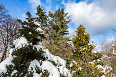 Similar image 18512711