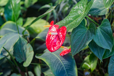 Similar image 18512645