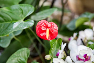 Similar image 18512650