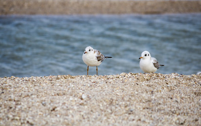 Similar image 18138207