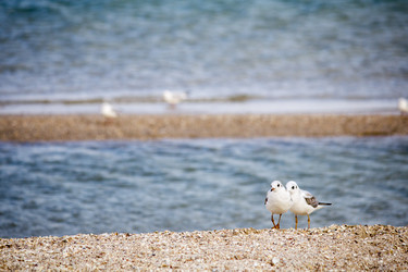 Similar image 18138210