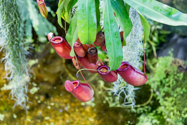 Similar image 18512646