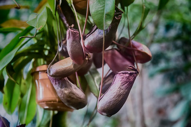 Similar image 18512665