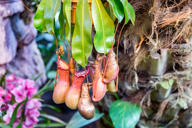 Similar image 18512675