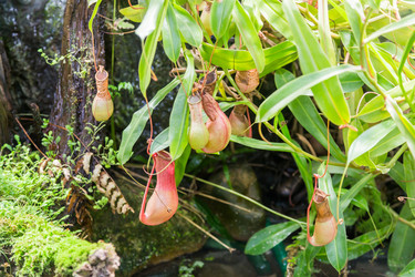 Similar image 18512598