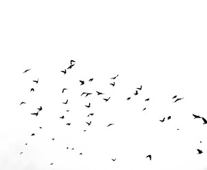 Similar image 17816860