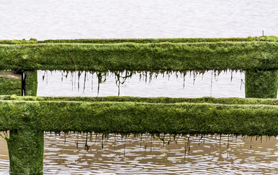 Similar image 18534290