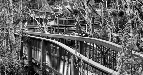 Similar image 18534554