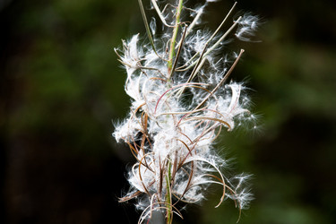 Similar image 18536681