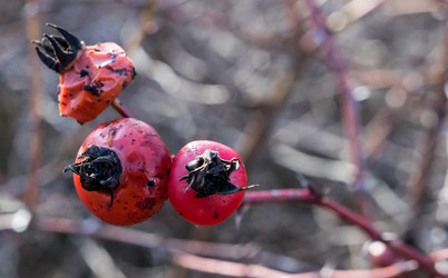 Similar image 18537510