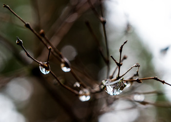 Similar image 18537516