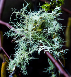 Similar image 18536094