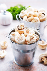 Similar image 18139379