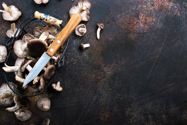 Similar image 18150853