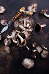 Similar image 18150863