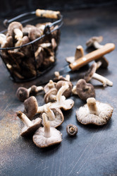 Similar image 18150865