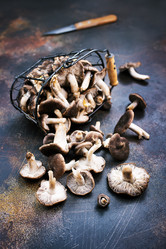 Similar image 18150867