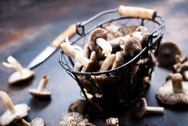 Similar image 18150915