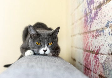 Similar image 17623434