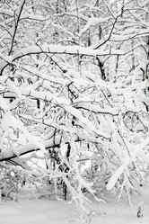 Similar image 17626751