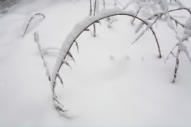 Similar image 17626868