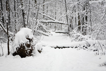 Similar image 17626885