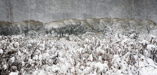 Similar image 17642025