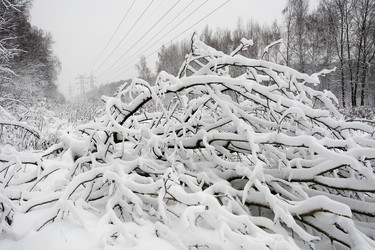 Similar image 17642064