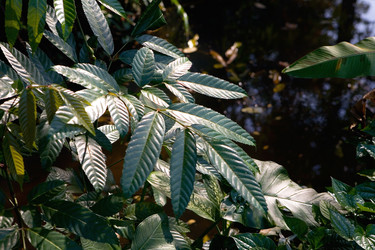 Similar image 17642937