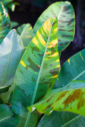 Similar image 17643298