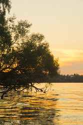 Similar image 18510402