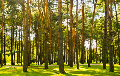 Similar image 18510436