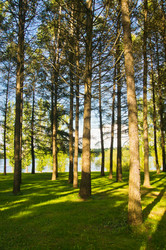 Similar image 18510438