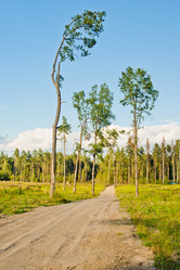 Similar image 18510445