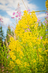 Similar image 18510451