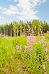 Similar image 18510453