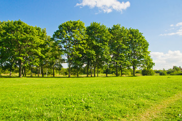 Similar image 18510467