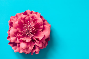 Similar image 18510213