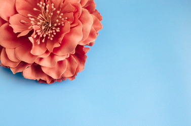 Similar image 18510219