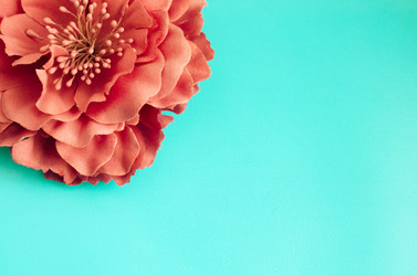 Similar image 18510224