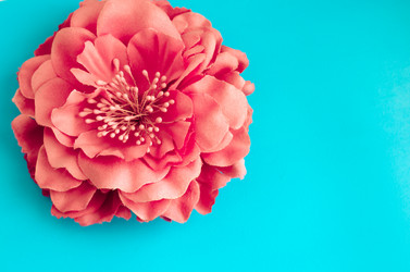 Similar image 18510251