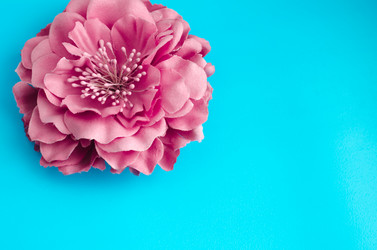 Similar image 18510257