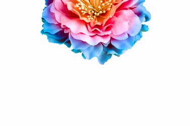 Similar image 18510268