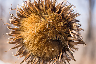 Similar image 18512344